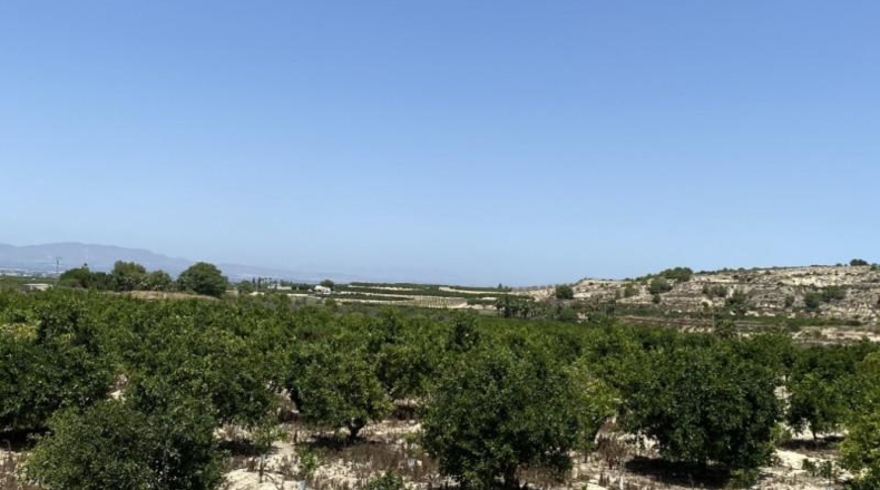 Alicante - Jacarilla - 40827m2
