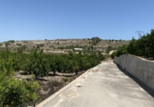 Terreny amb magatzem en venda a la España, Xacarella, ref.: TR137932 foto