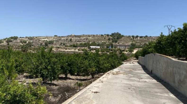 Alicante - Jacarilla - 40827m2