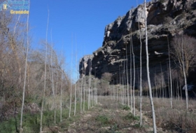 Foto 9