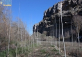 Land suitable for development for sale on España, Alhama de Granada, ref: TR115018 photo