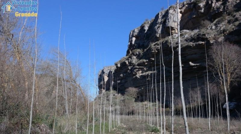 Granada - Alhama de Granada - 88785m2