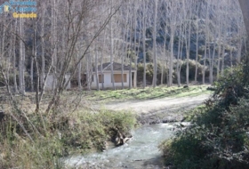 Foto 13