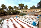 Xalet independent amb terreny en venda a la España, la Pobla de Montornès, ref.: TR375531 foto