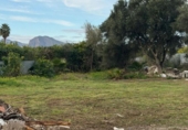 Chalet independiente con terreno en venta en la España, Orihuela, ref: TR376169 foto