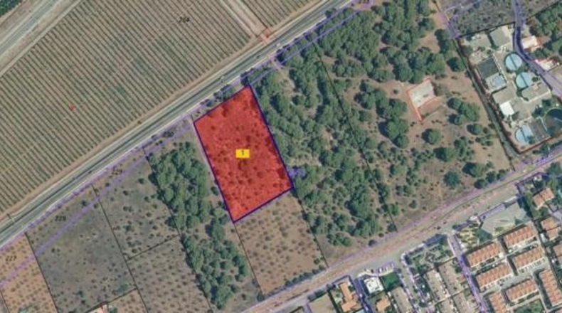 Castellón - Benicasim - 10003m2