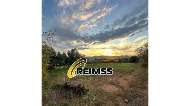 Gerona - Palafrugell - 12500m2