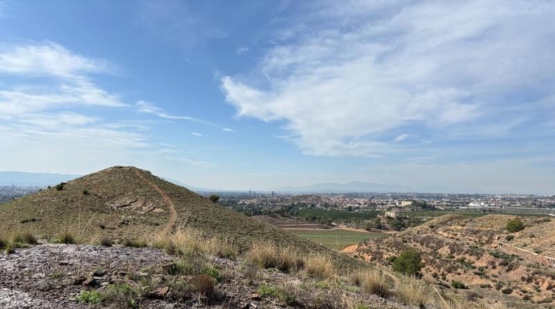 Murcia - Múrcia - 1357m2