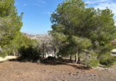 Sòl urbà en venda a la España, Múrcia, ref.: TR352574 foto