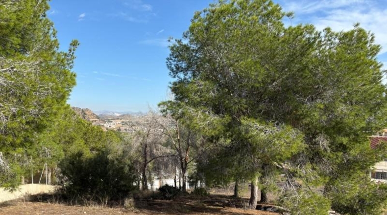 Murcia - Múrcia - 1357m2