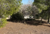 Sòl urbà en venda a la España, Múrcia, ref.: TR352574 foto