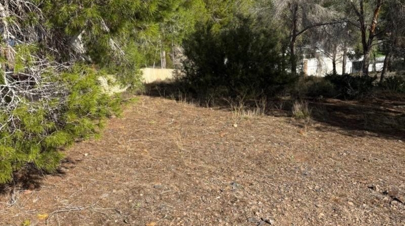 Murcia - Múrcia - 1357m2