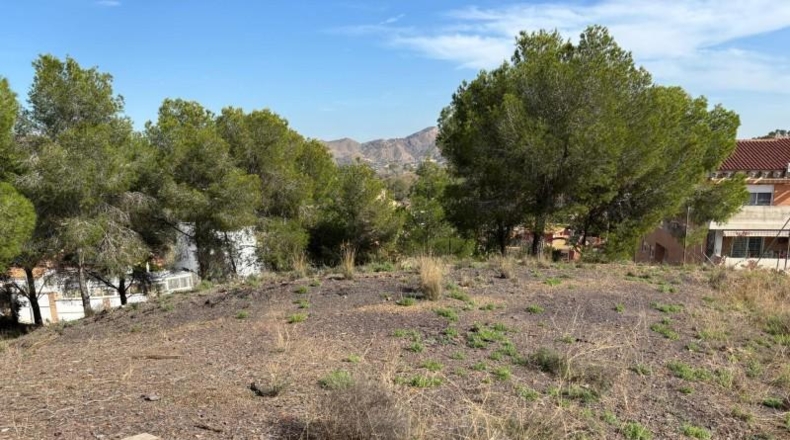 Murcia - Múrcia - 1357m2
