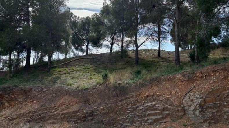 Murcia - Múrcia - 1357m2