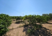 Отдельно стоящий дом с участком на продажу в городе Tortosa Фото