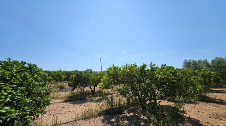 Tarragona - Tortosa - 6000m2