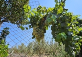 Отдельно стоящий дом с участком на продажу в городе Tortosa Фото