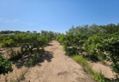 Отдельно стоящий дом с участком на продажу в городе Tortosa Фото