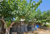 Отдельно стоящий дом с участком на продажу в городе Tortosa Фото