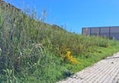 Land suitable for development for sale on España, Casares, ref: TR280757 photo