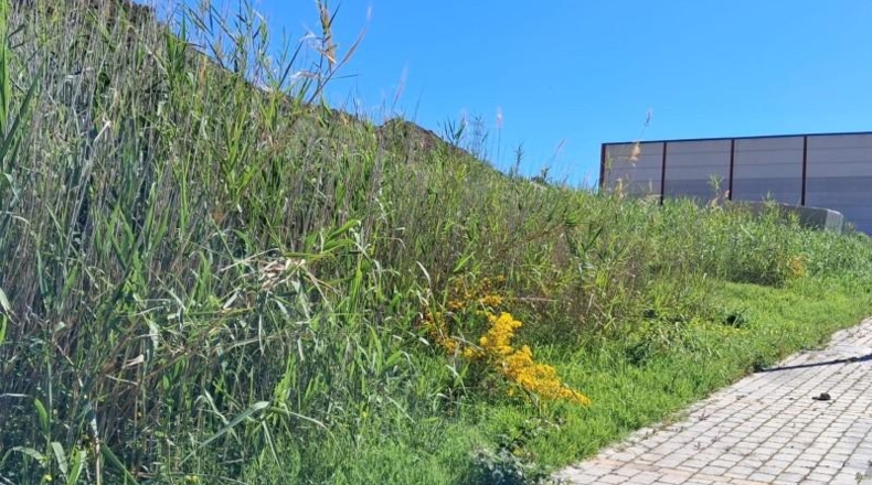Малага - Casares - 1240m2