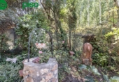 Chalet independiente con terreno en venta en la España, Fonelas, ref: TR265682 foto