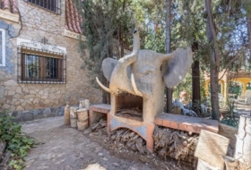 Foto 5