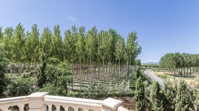 Granada - Fonelas - 600m2