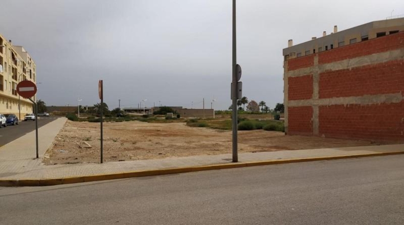 Alicante - Albatera - 547m2