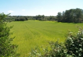 Non-developable land for sale on España, Santa Margalida, ref: TR125262 photo