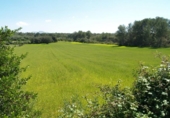 Non-developable land for sale on España, Santa Margalida, ref: TR125262 photo