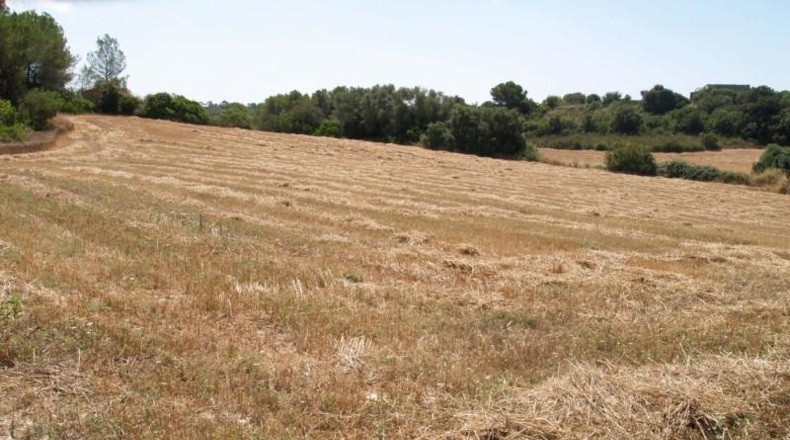 Islas Baleares - Son Bauló - 38233m2