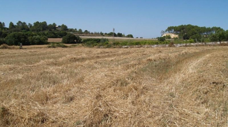 Islas Baleares - Son Bauló - 38233m2