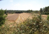 Non-developable land for sale on España, Santa Margalida, ref: TR125262 photo