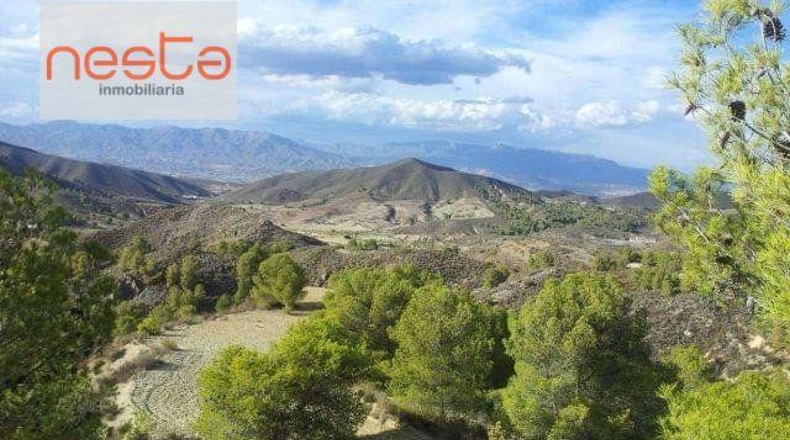 Murcia - Lorca - 489m2