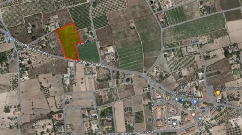 Alicante - Elche - 10519m2