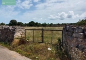 Land suitable for development for sale on España, Santa Margalida, ref: TR122649 photo
