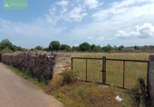 Land suitable for development for sale on España, Santa Margalida, ref: TR122649 photo