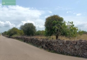 Land suitable for development for sale on España, Santa Margalida, ref: TR122649 photo