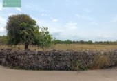 Land suitable for development for sale on España, Santa Margalida, ref: TR122649 photo