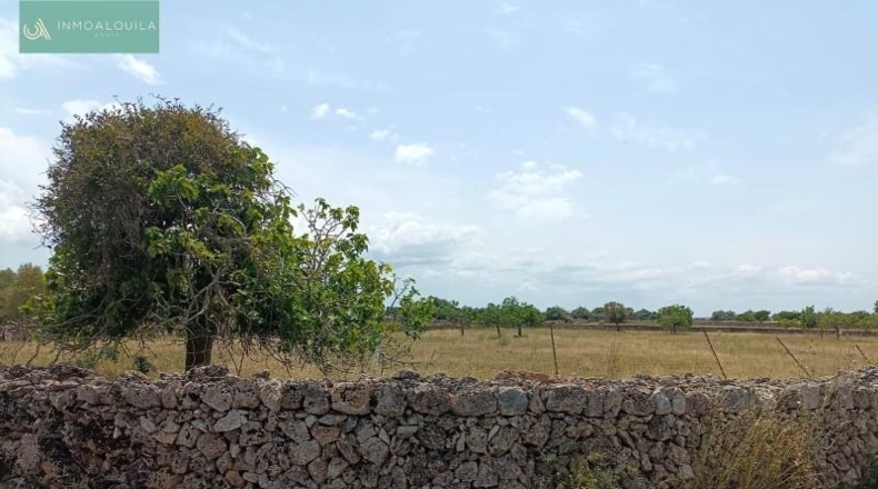 Balearic Islands - Son Bauló - 14400m2