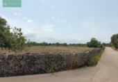 Land suitable for development for sale on España, Santa Margalida, ref: TR122649 photo