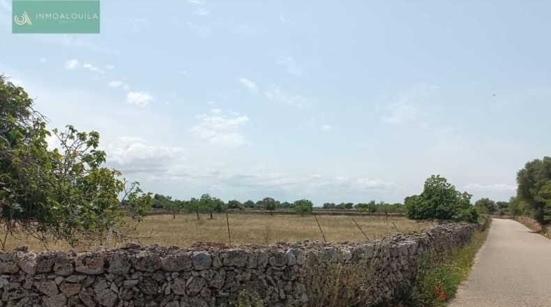 Balearic Islands - Son Bauló - 14400m2