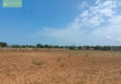 Land suitable for development for sale on España, Santa Margalida, ref: TR122649 photo