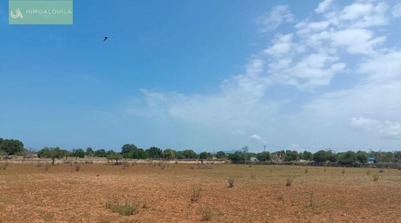 Balearic Islands - Son Bauló - 14400m2