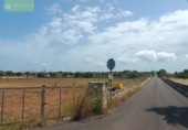 Land suitable for development for sale on España, Santa Margalida, ref: TR122649 photo
