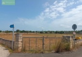 Land suitable for development for sale on España, Santa Margalida, ref: TR122649 photo