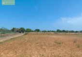 Land suitable for development for sale on España, Santa Margalida, ref: TR122649 photo