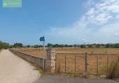 Land suitable for development for sale on España, Santa Margalida, ref: TR122649 photo