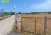 Land suitable for development for sale on España, Santa Margalida, ref: TR122649 photo